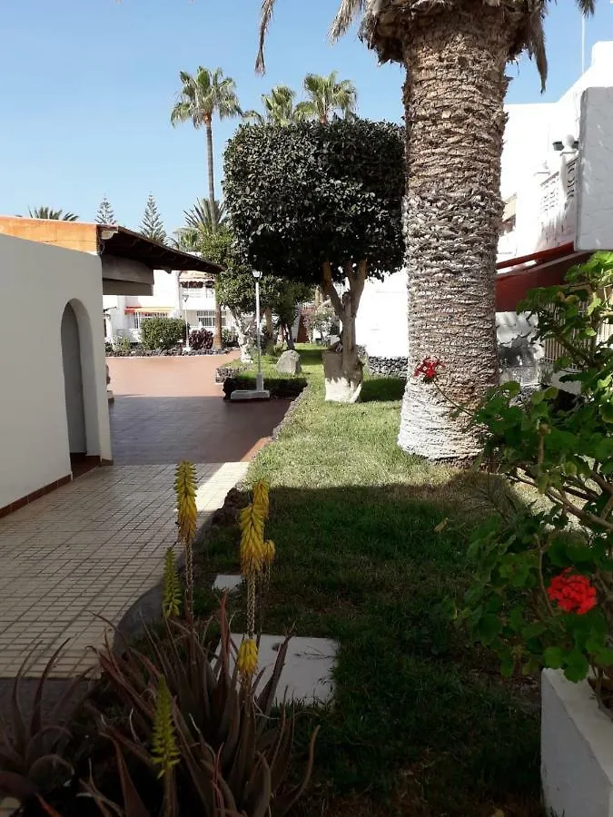 Elegant And Cozy Studio With Pool Chaparral 341 طوستا ديل سيلونثيو شقة